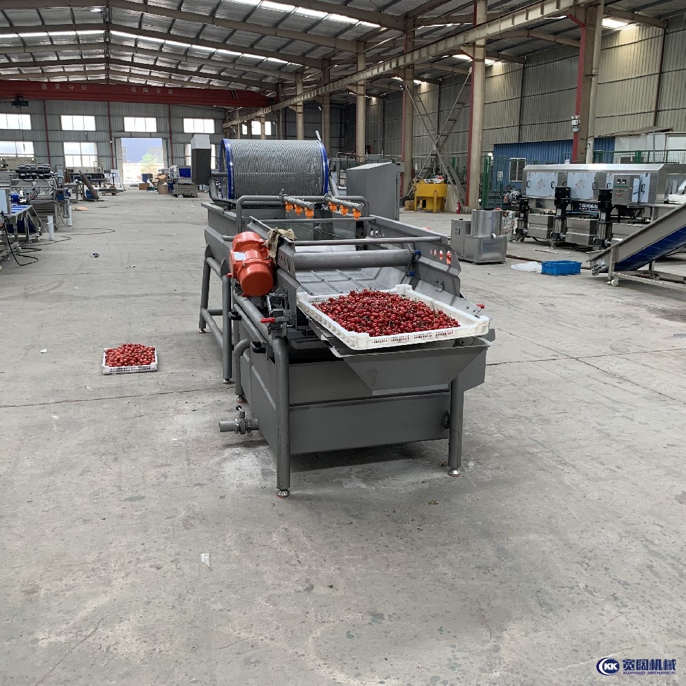 渦流漩渦氣泡清洗機